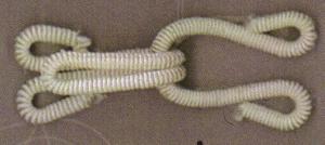 MFURHOOK IVORY
